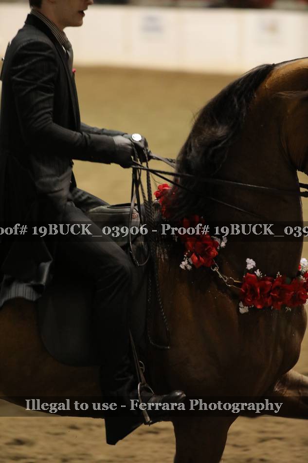Proof Number 19BUCK_03906