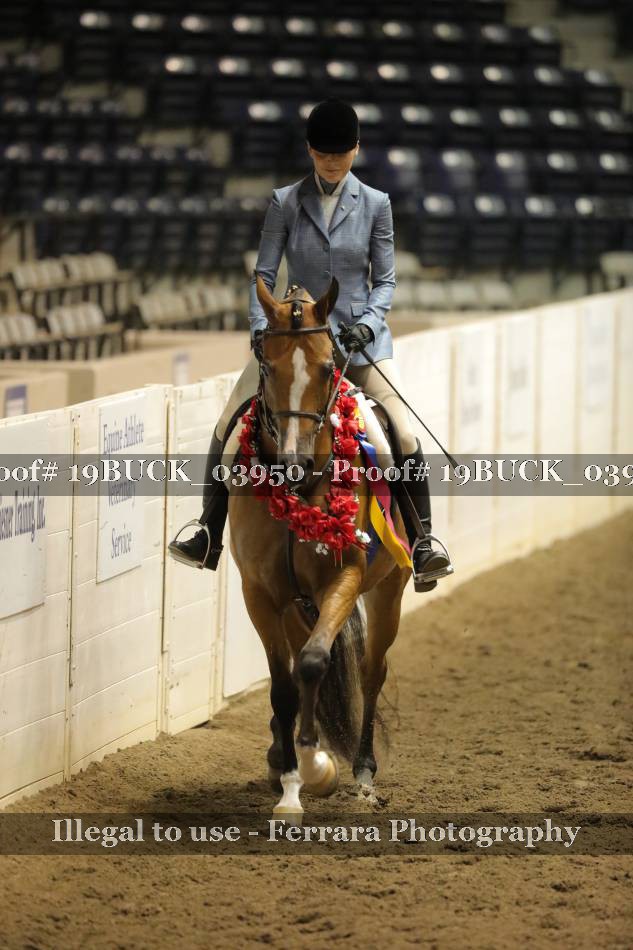 Proof Number 19BUCK_03950