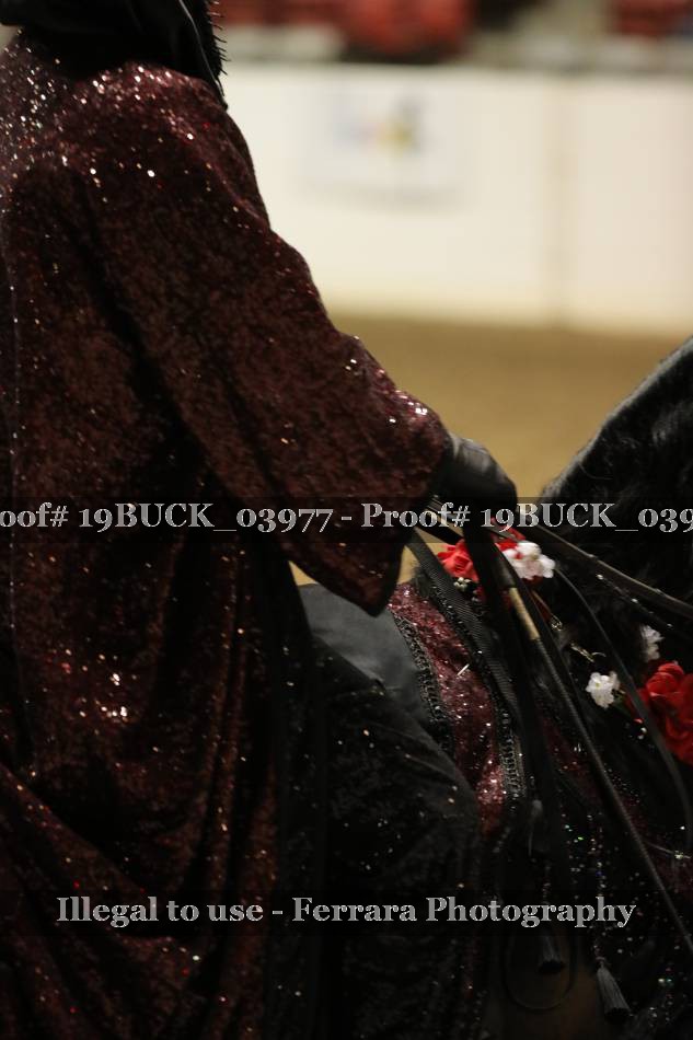 Proof Number 19BUCK_03977