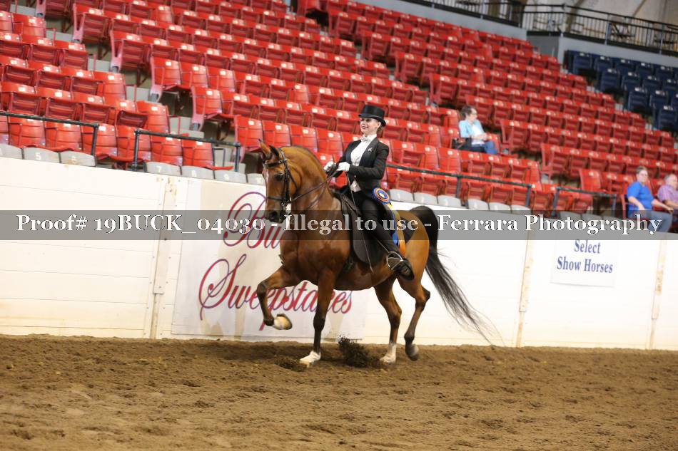 Proof Number 19BUCK_04030