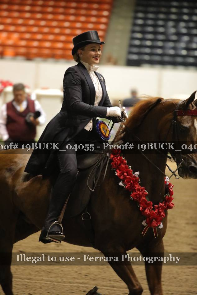 Proof Number 19BUCK_04055