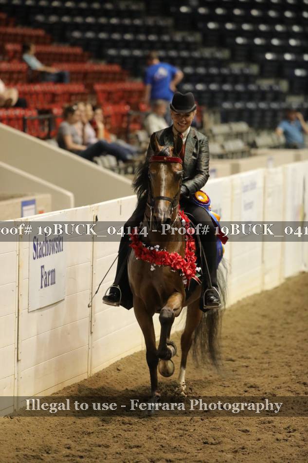 Proof Number 19BUCK_04114