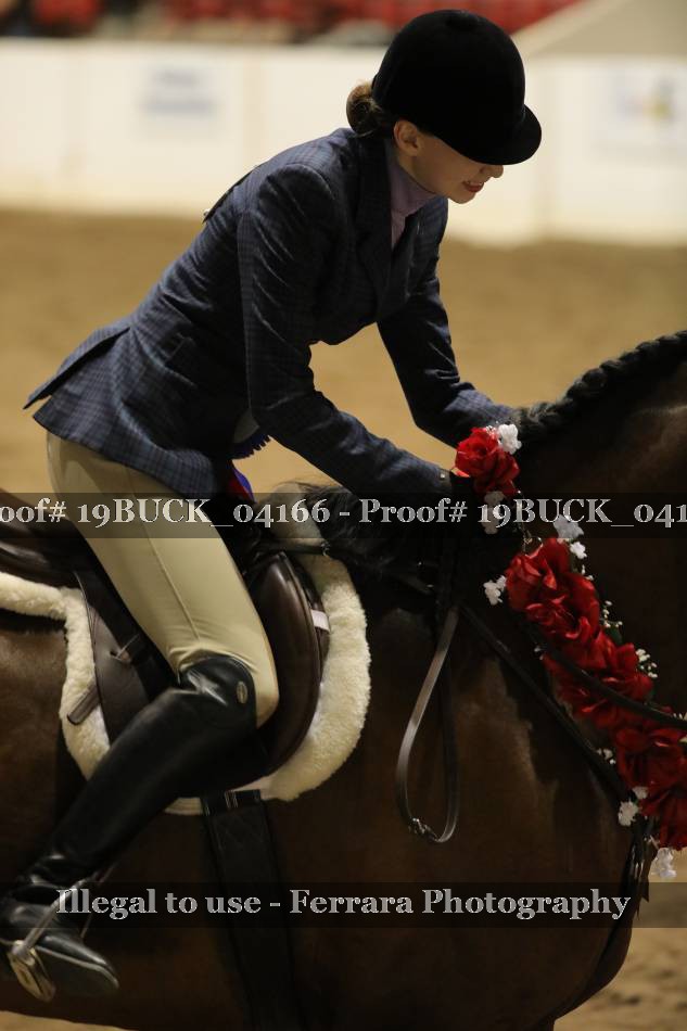 Proof Number 19BUCK_04166