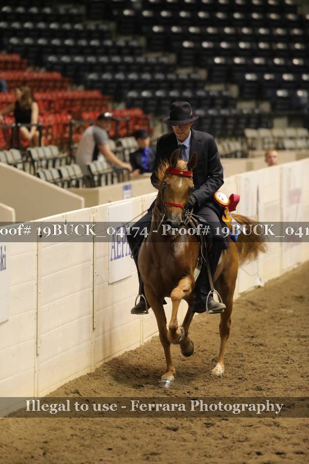 Proof Number 19BUCK_04174