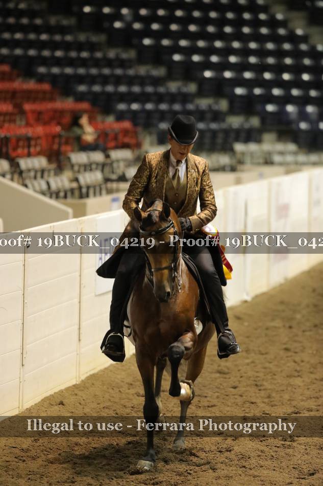 Proof Number 19BUCK_04219