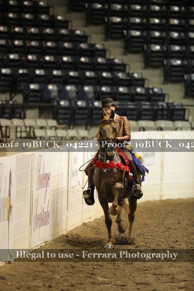 Proof Number 19BUCK_04221
