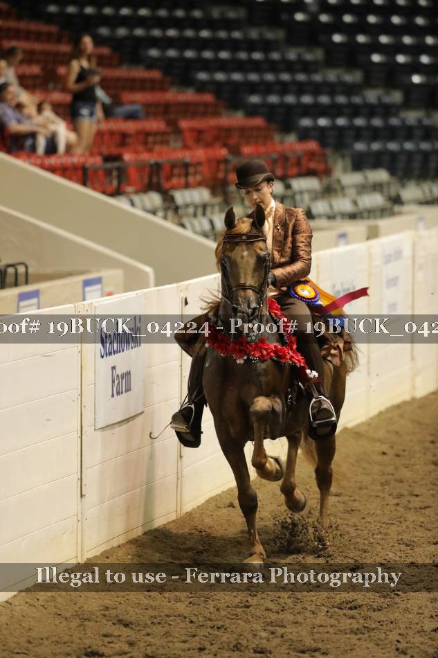 Proof Number 19BUCK_04224