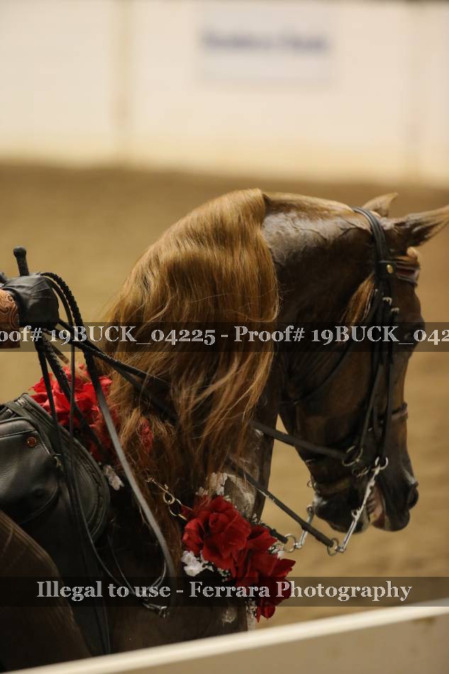 Proof Number 19BUCK_04225