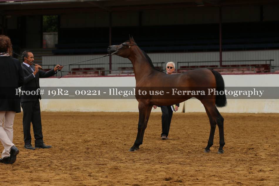 Proof Number 19R2_00221