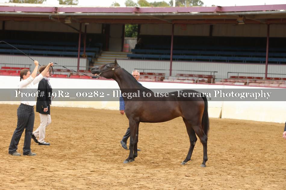 Proof Number 19R2_00282