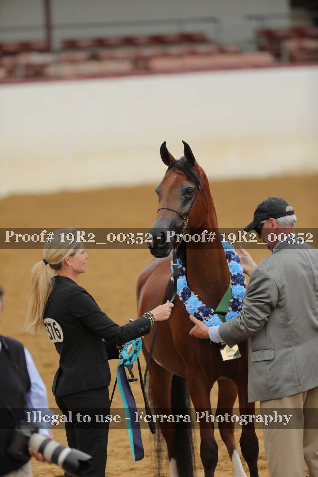 Proof Number 19R2_00352