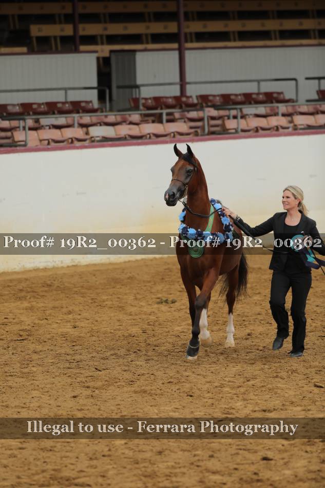 Proof Number 19R2_00362