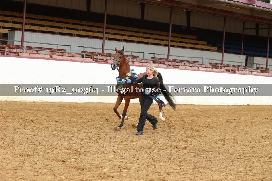 Proof Number 19R2_00364