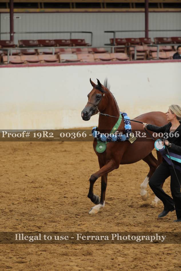 Proof Number 19R2_00366