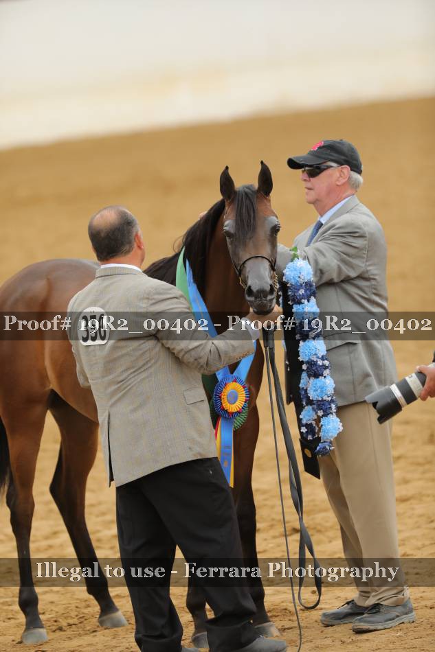 Proof Number 19R2_00402