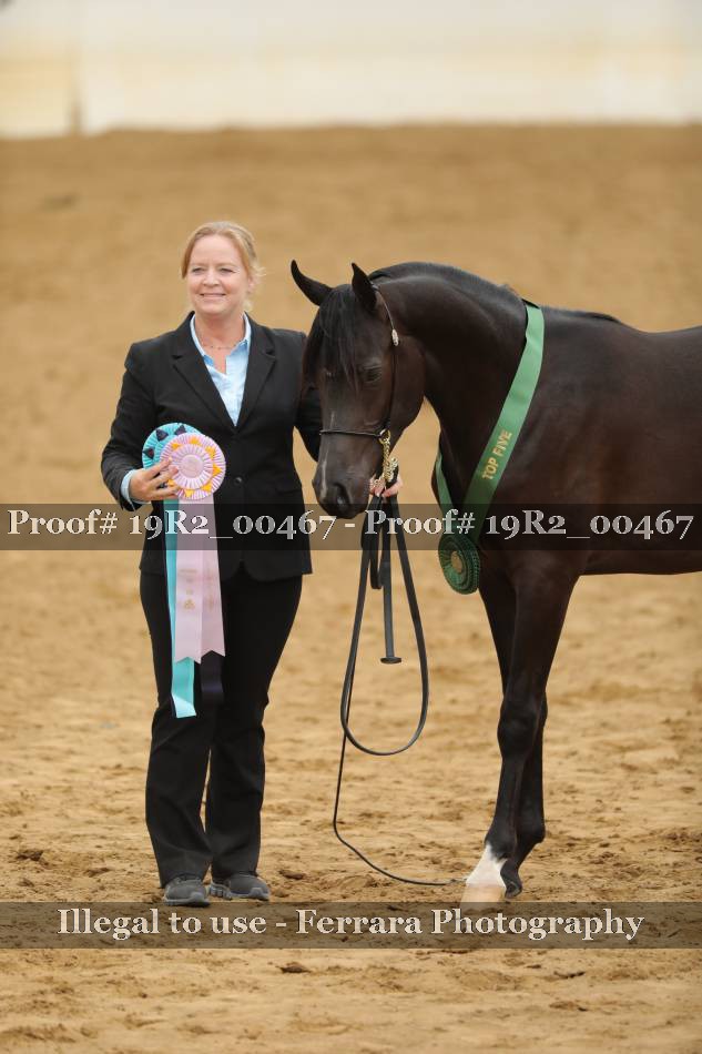 Proof Number 19R2_00467