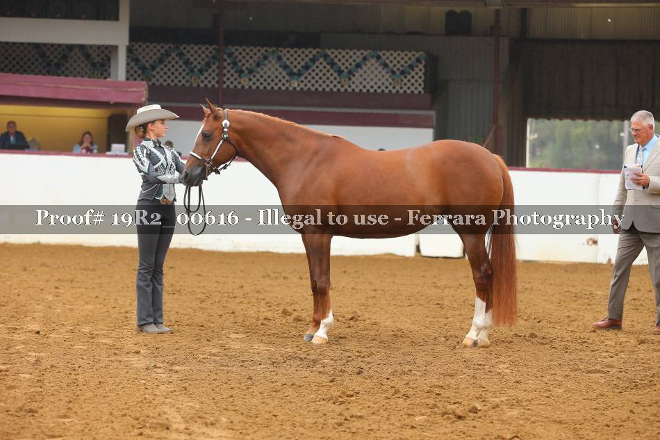 Proof Number 19R2_00616