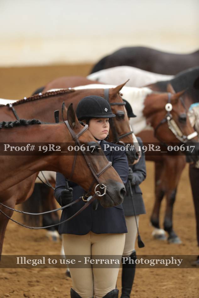 Proof Number 19R2_00617