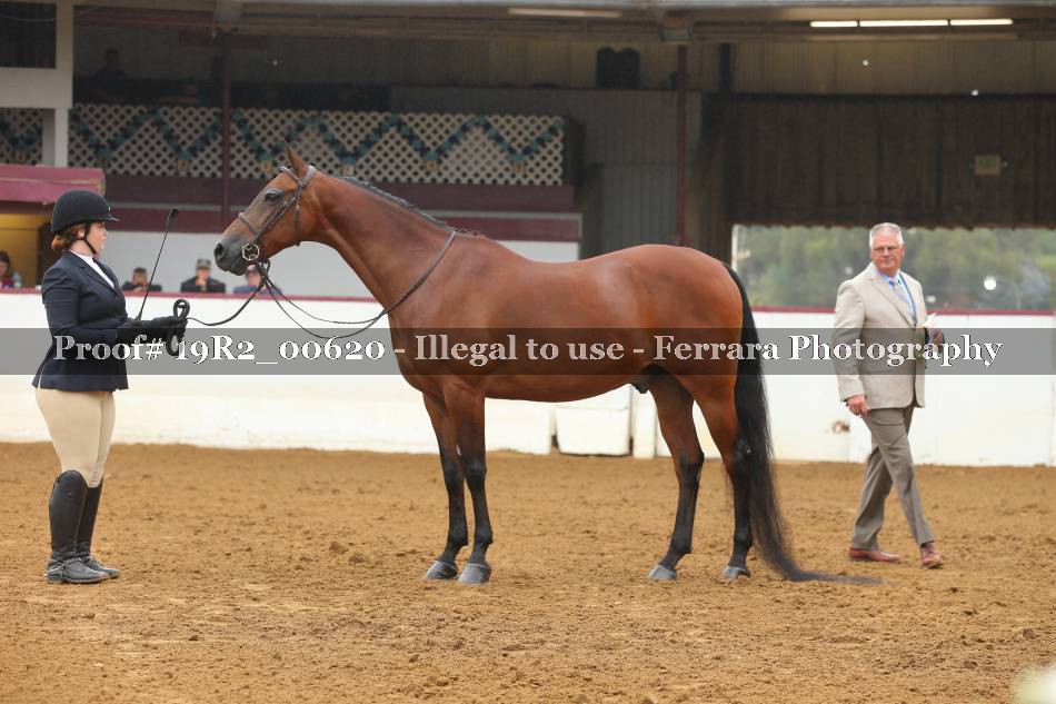 Proof Number 19R2_00620