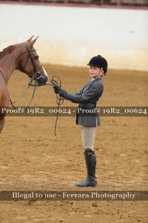 Proof Number 19R2_00624