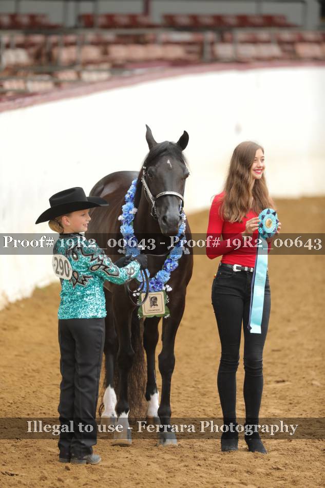Proof Number 19R2_00643