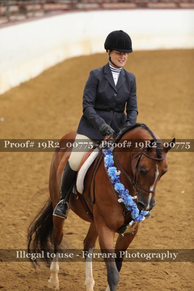 Proof Number 19R2_00775