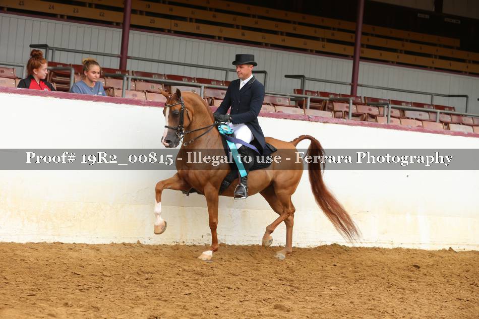 Proof Number 19R2_00815