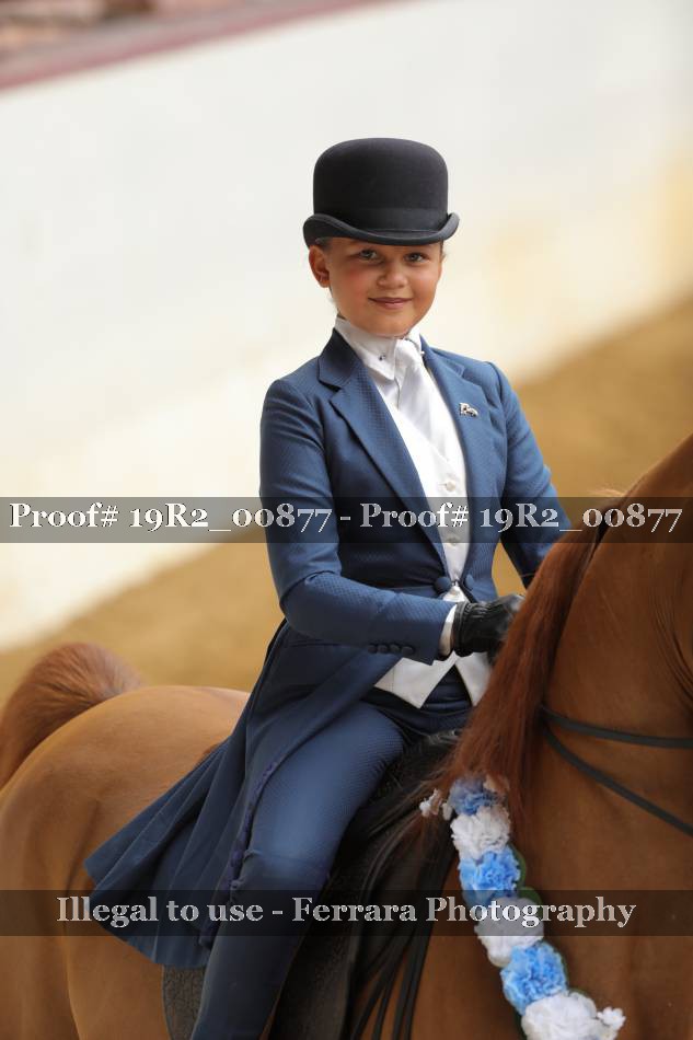 Proof Number 19R2_00877