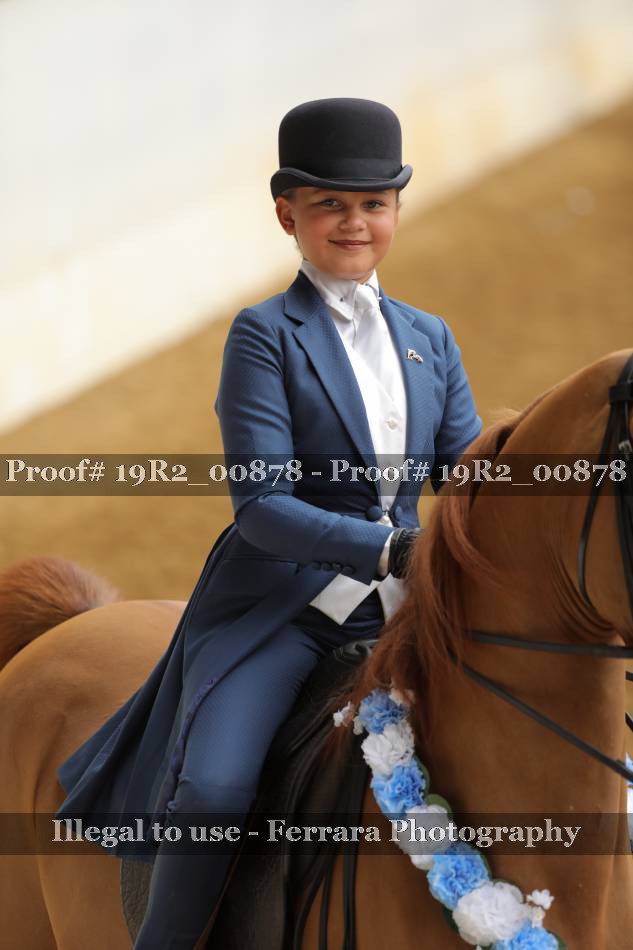 Proof Number 19R2_00878
