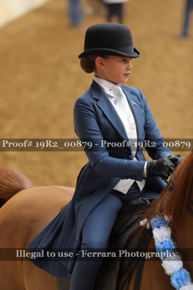 Proof Number 19R2_00879