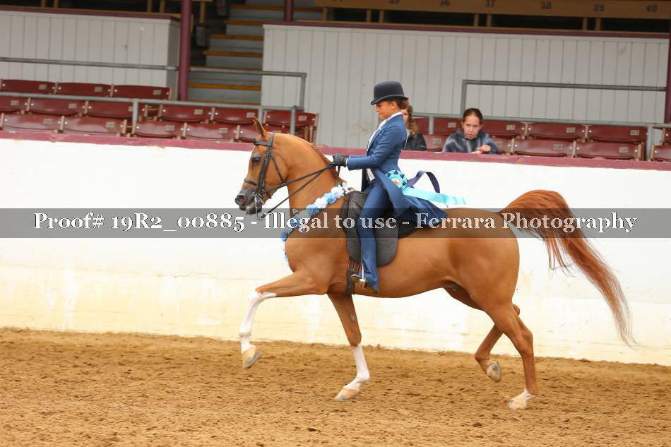 Proof Number 19R2_00885