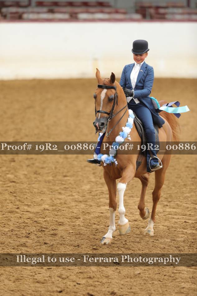 Proof Number 19R2_00886