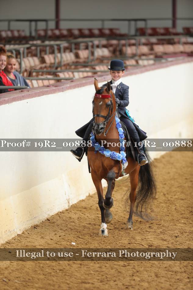 Proof Number 19R2_00888