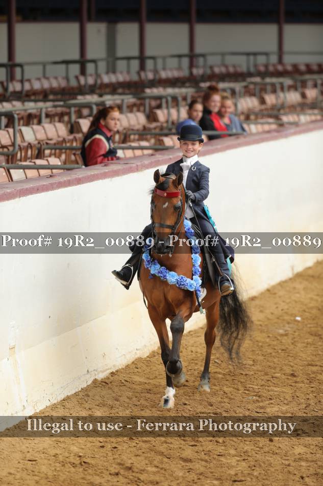 Proof Number 19R2_00889