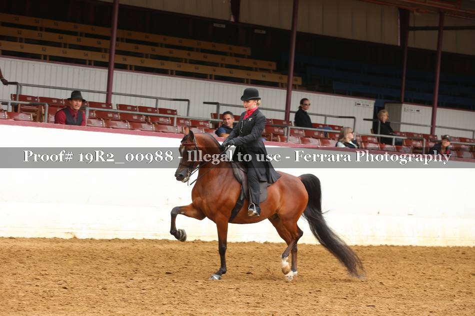 Proof Number 19R2_00988