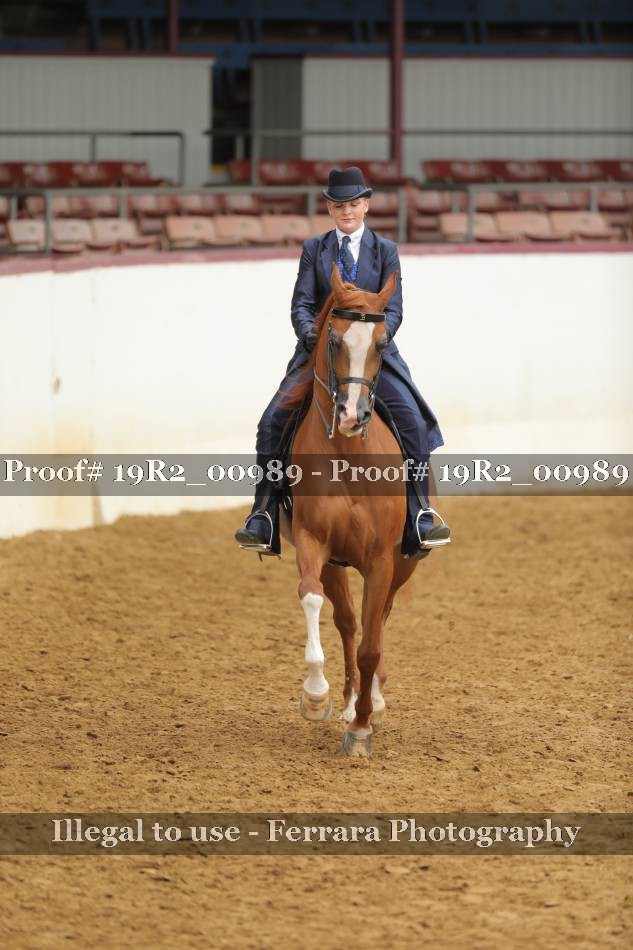 Proof Number 19R2_00989