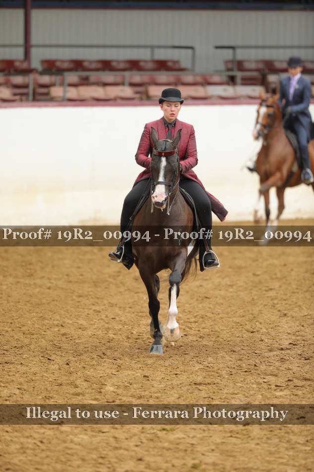 Proof Number 19R2_00994