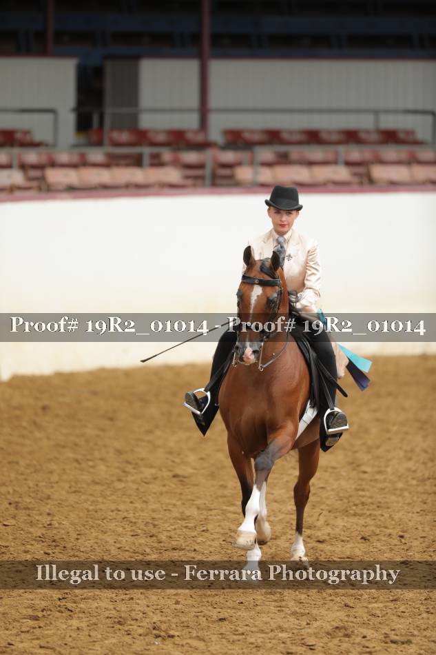 Proof Number 19R2_01014