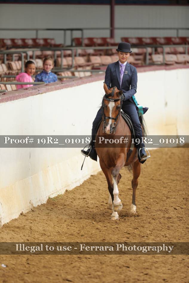 Proof Number 19R2_01018