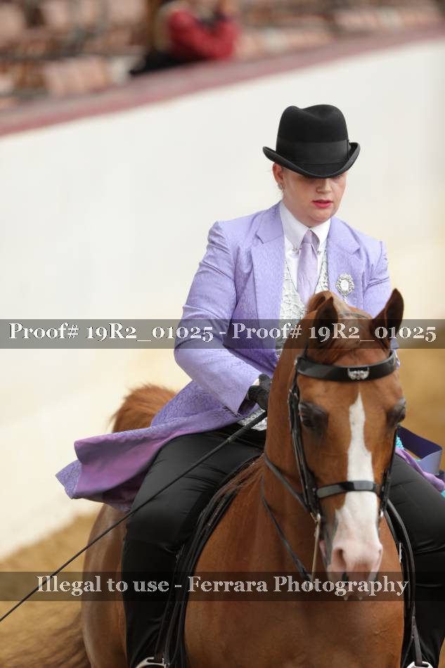 Proof Number 19R2_01025