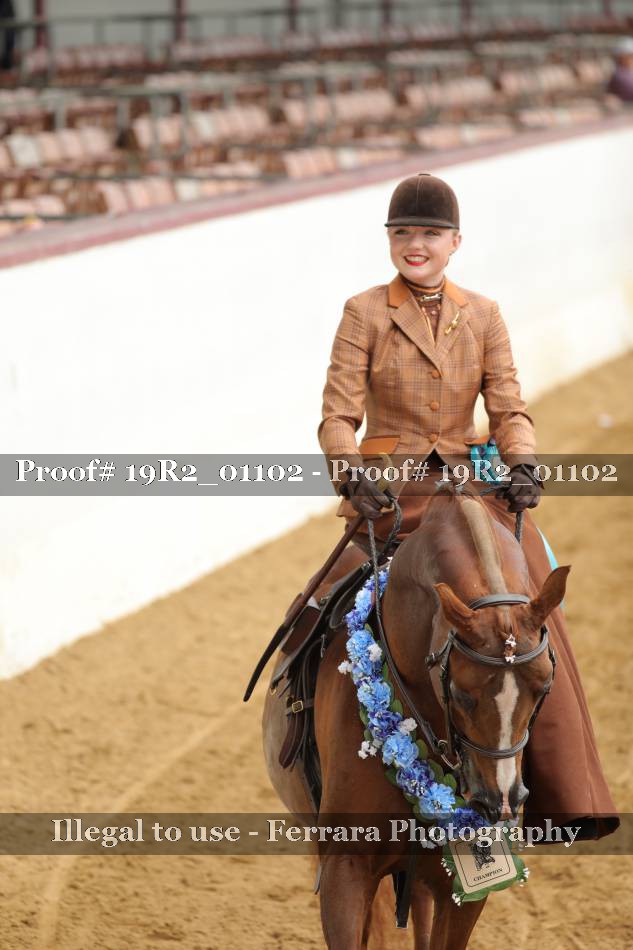 Proof Number 19R2_01102