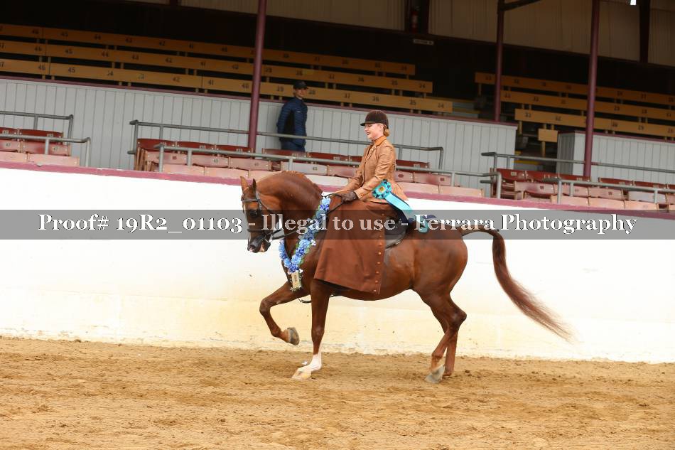 Proof Number 19R2_01103