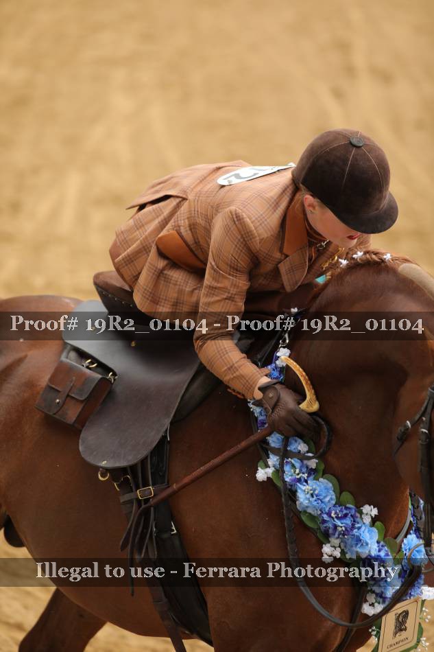 Proof Number 19R2_01104