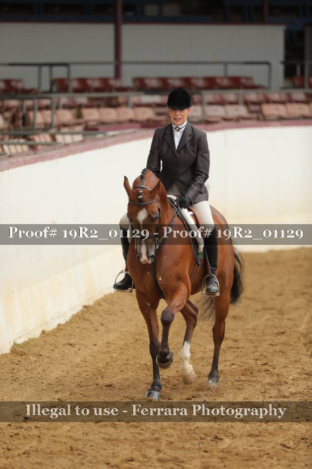 Proof Number 19R2_01129