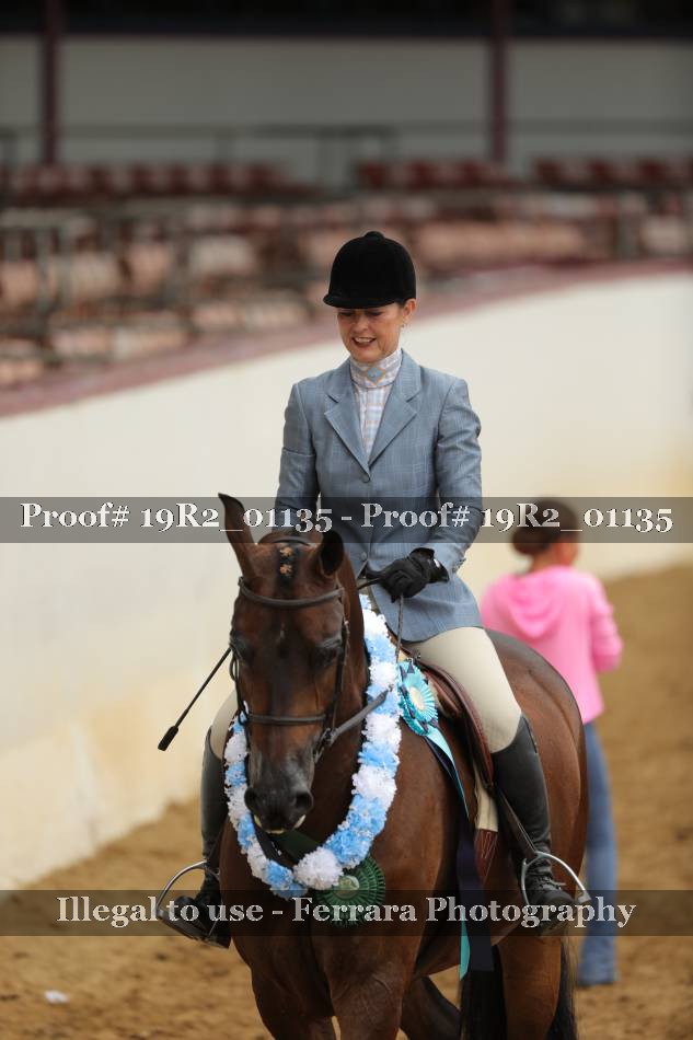 Proof Number 19R2_01135