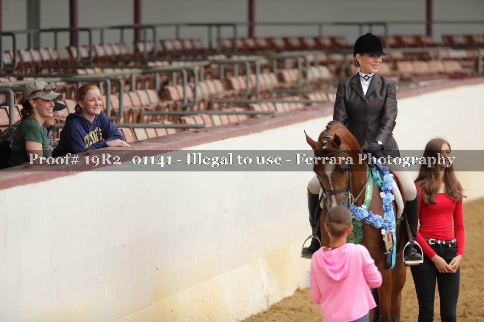 Proof Number 19R2_01141