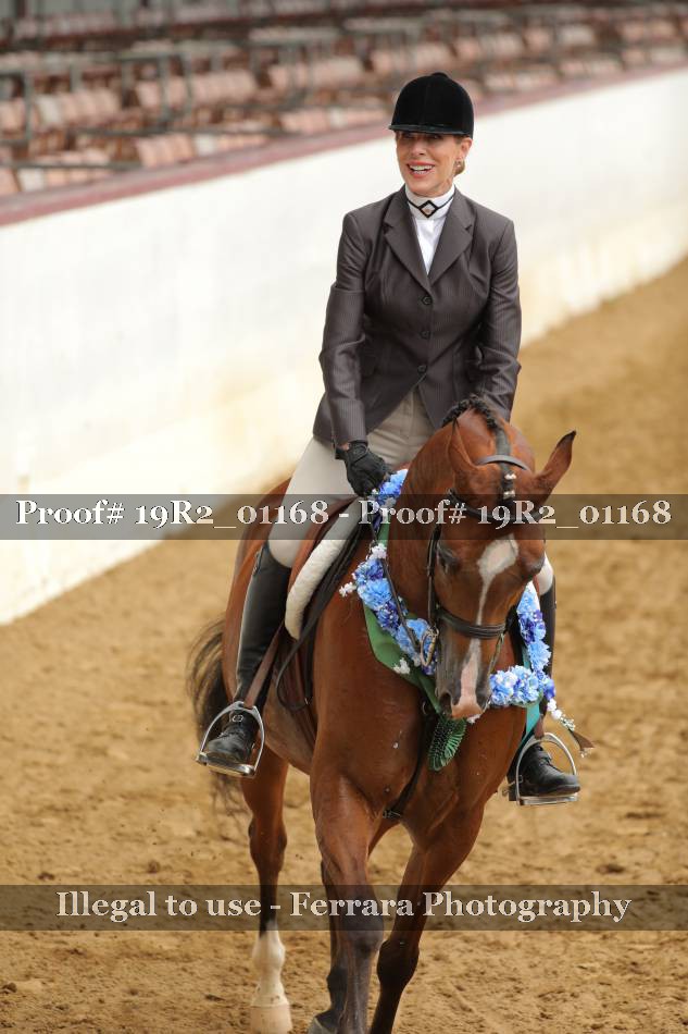 Proof Number 19R2_01168