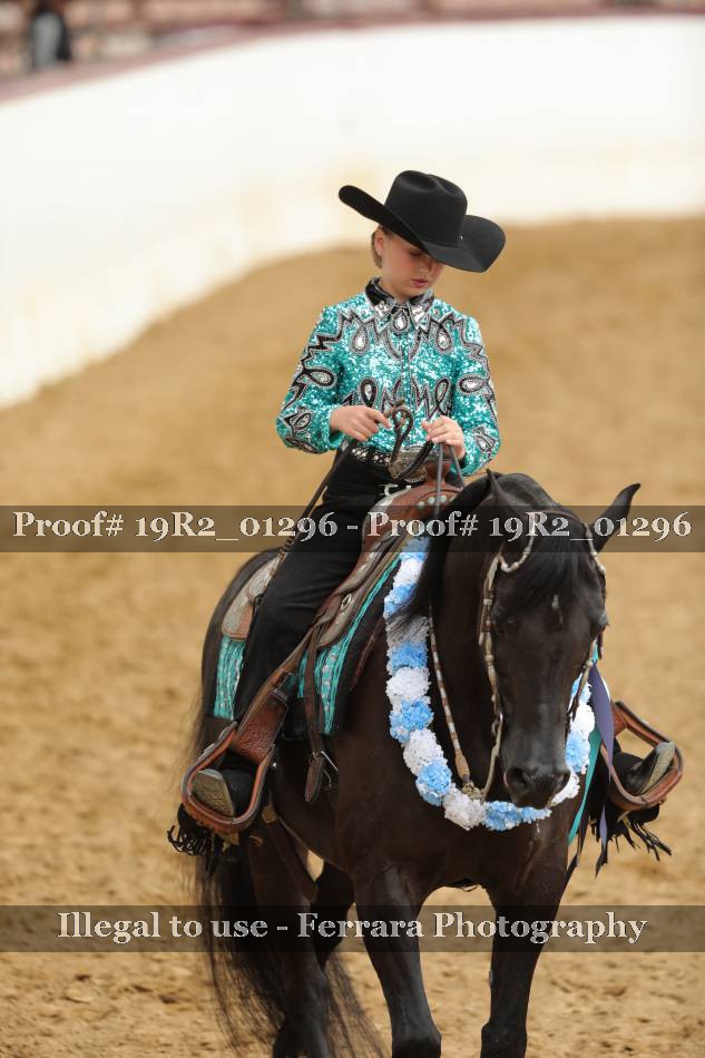 Proof Number 19R2_01296