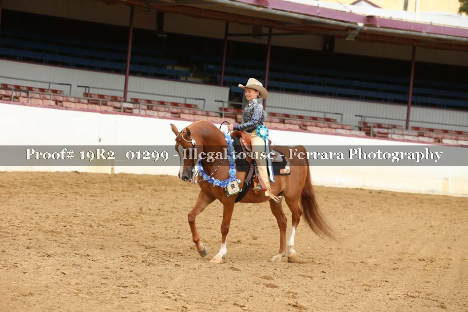 Proof Number 19R2_01299