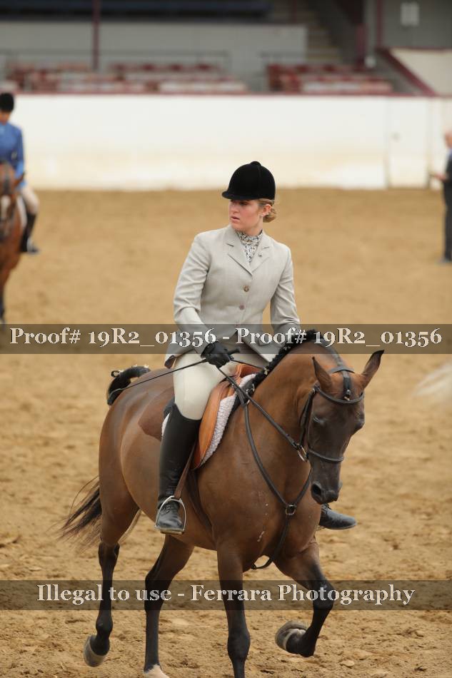 Proof Number 19R2_01356